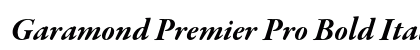 Garamond Premier Pro Bold Italic Subhead Preview