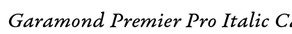 Garamond Premier Pro Italic Caption Preview