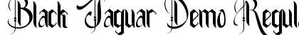Black Jaguar Demo Regular
