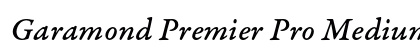Garamond Premier Pro Medium Italic Caption Preview