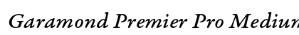 Garamond Premier Pro Medium Italic Caption Preview