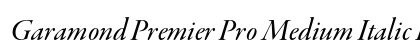 Garamond Premier Pro Medium Italic Display Preview