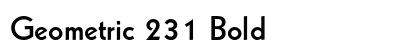 Geometric 231 Bold preview