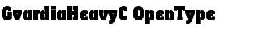 GvardiaHeavyC Font