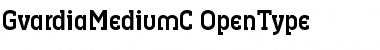 GvardiaMediumC Font