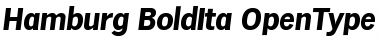 Hamburg-BoldIta Regular Font