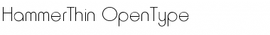 Download HammerThin Font