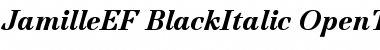 Download JamilleEF-BlackItalic Font