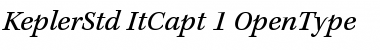 Kepler Std Font