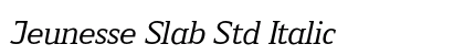 Jeunesse Slab Std Italic preview