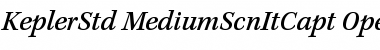 Kepler Std Medium Semicondensed Italic Caption Font