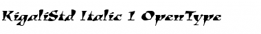 Kigali Std Italic Font