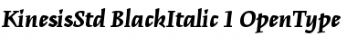 Kinesis Std Font