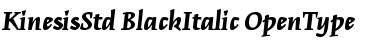 Kinesis Std Black Italic Font