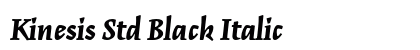 Kinesis Std Black Italic Preview
