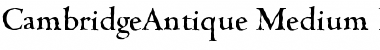 CambridgeAntique-Medium Font