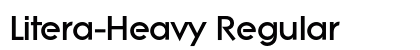Litera-Heavy Regular preview