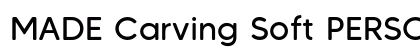 MADE Carving Soft PERSONAL USE Regular preview