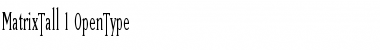 MatrixTall Font