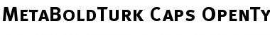 MetaBoldTurk Font