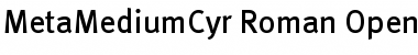 Download MetaMediumCyr-Roman Font