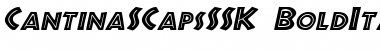 Download CantinaSCapsSSK Font