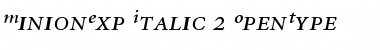 Minion Italic Expert Font