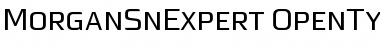 MorganSnExpert Regular Font MorganSnExpert Regular Font