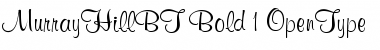 Download Murray Hill Font