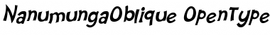 Nanumunga Oblique Oblique Font