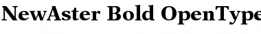 New Aster Bold Font