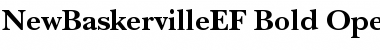 Download NewBaskervilleEF Font