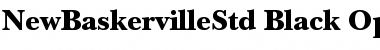 Download ITC New Baskerville Std Font