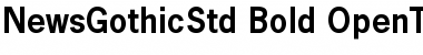 News Gothic Std Bold Font