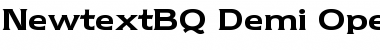 Newtext BQ Regular Font