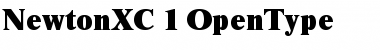 NewtonXC Regular Font