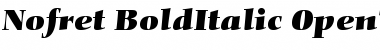 Nofret Bold Italic Font