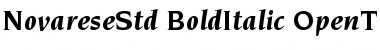 ITC Novarese Std Bold Italic Font