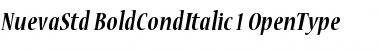 Nueva Std Bold Condensed Italic Font