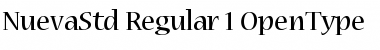 Nueva Std Regular Font