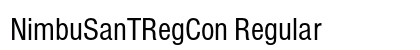 NimbuSanTRegCon Regular preview
