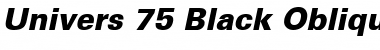 Univers 55 Bold Italic Font