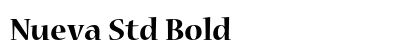 Nueva Std Bold Preview