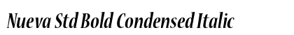 Nueva Std Bold Condensed Italic Preview