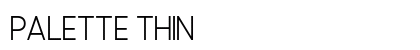 Palette Thin Preview
