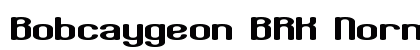 Bobcaygeon BRK Normal preview