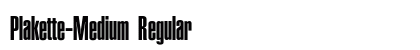 Plakette-Medium Regular preview