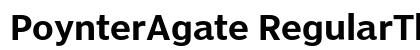 PoynterAgate RegularThree Preview