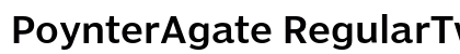 PoynterAgate RegularTwo Preview