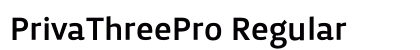 PrivaThreePro Regular preview
